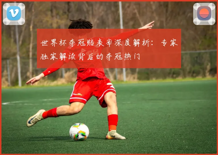 世界杯夺冠赔表率深度解析：专家独家解读背后的夺冠热门