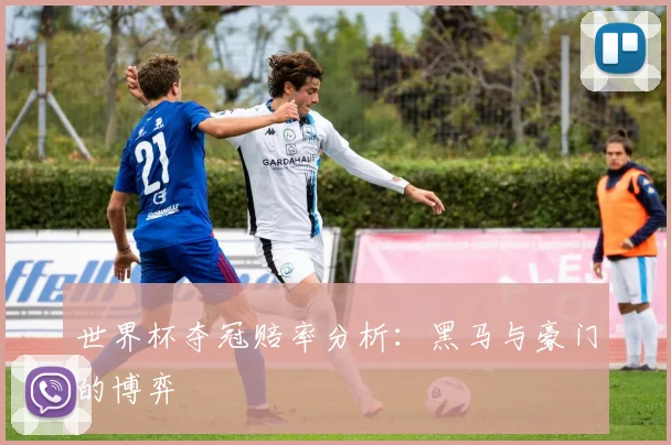 世界杯夺冠赔率分析：黑马与豪门的博弈