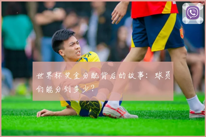 世界杯奖金分配背后的故事:球员们能分到多少?