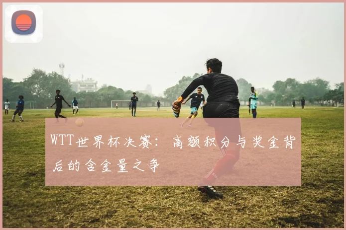 WTT世界杯决赛：高额积分与奖金背后的含金量之争