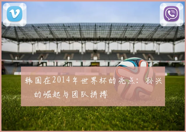 韩国在2014年世界杯的亮点：孙兴慜的崛起与团队拼搏