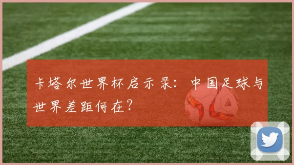 卡塔尔世界杯启示录：中国足球与世界差距何在？