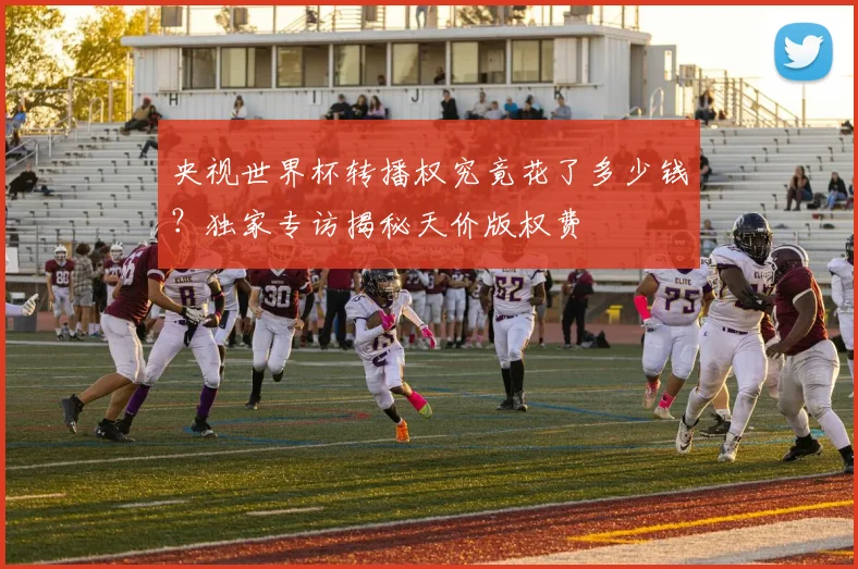 央视世界杯转播权究竟花了多少钱？独家专访揭秘天价版权费