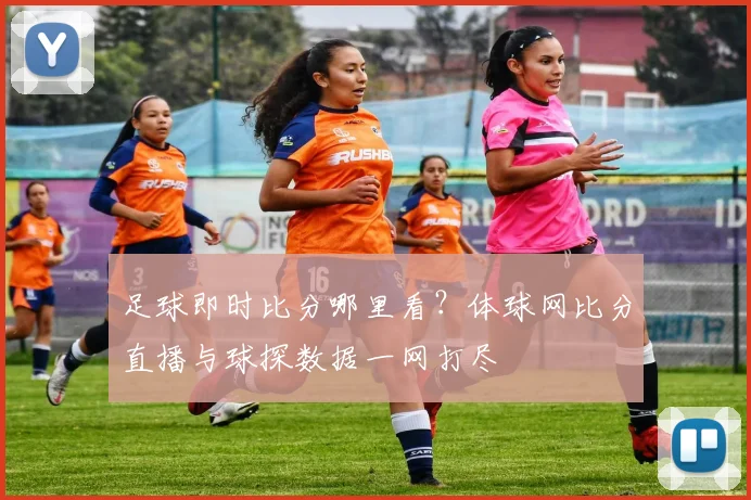 足球即时比分哪里看？体球网比分直播与球探数据一网打尽